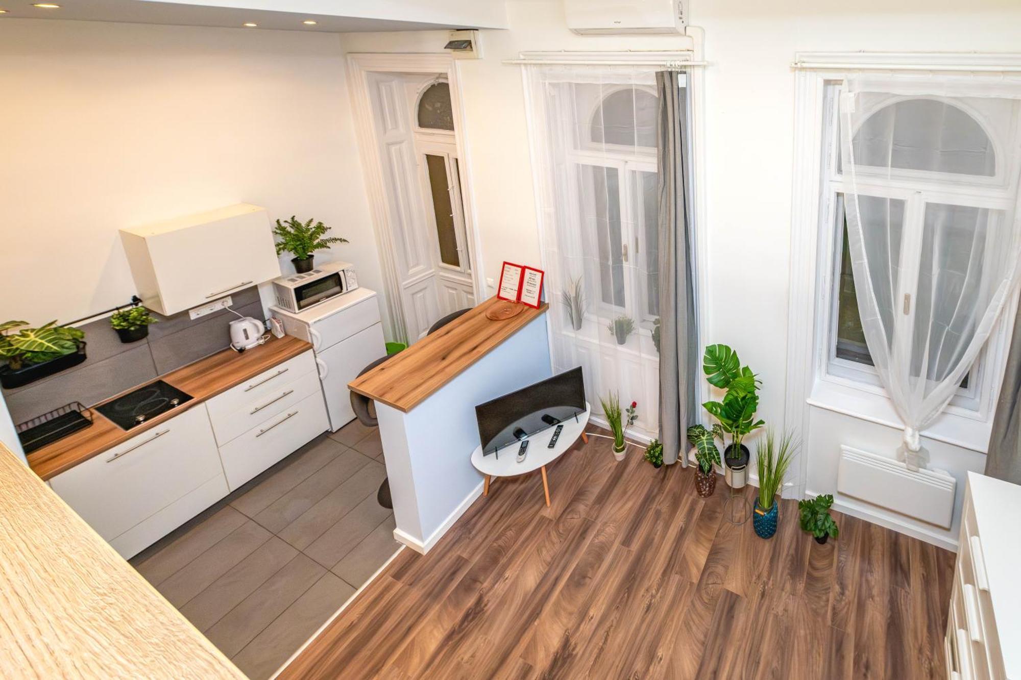 Apartament Historical Building Brody *